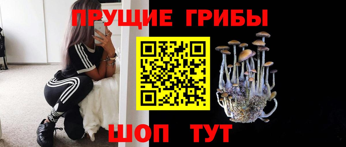 Псилоцибиновые грибы ЛСД  Галлюциногенные грибы Cubensis  Амурск  Вход с VPN 